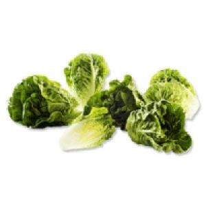 Spanien Salatherzen