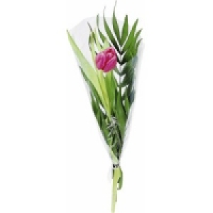 Strauß Tulpe 0.37 €