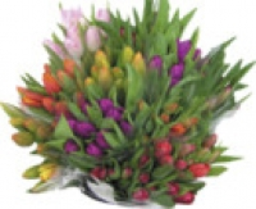 Tulpenstrauß 2.99 €