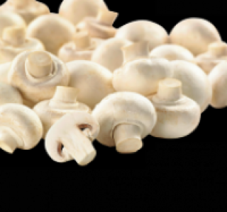 Weiße Champignons 1.11 €