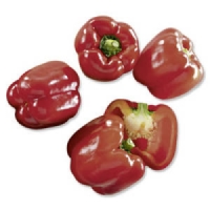 Spanien Paprika, rot 1.29 €