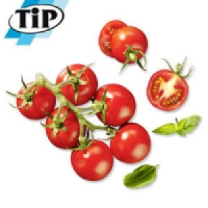 Spanien Rispentomaten 1.99&nbsp;&euro;