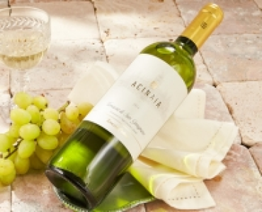 TERUZZI & PUTHOD 2014 ACINAIA Vernaccia di San Gimignano DOCG