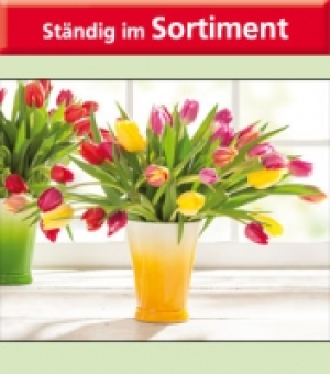 Tulpenstrauß 1.99 €