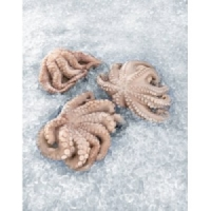 Krake / Pulpo 10.99&nbsp;&euro;