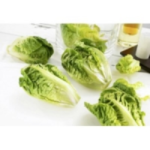 Salatherzen Romana 0.99 €
