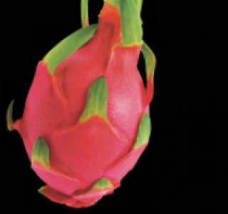 Rote Pitahaya 1.49&nbsp;&euro;