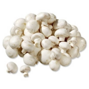 Niederlande/Polen Champignons, weiß 0.99 €