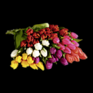 Tulpenstrauß 1.79 €