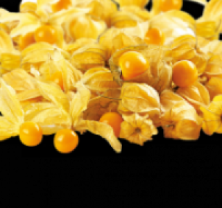 Physalis 0.79&nbsp;&euro;