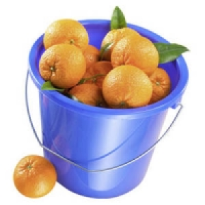 Ein Eimer voll Spanien Orangen Navelinas 5.99&nbsp;&euro;