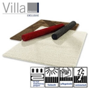 Hochflor-Teppich 29.95&nbsp;&euro;