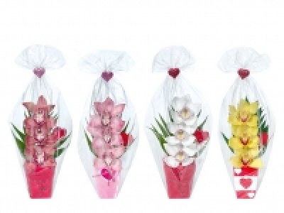 Orchideengesteck 3.99 €