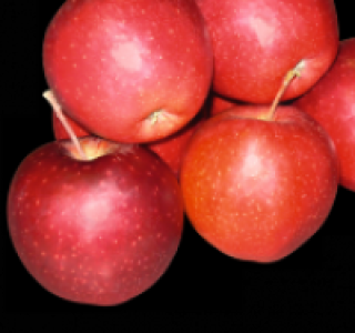 Rote Tafeläpfel 0.99 €