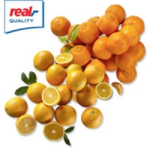 Spanien Saftclementinen oder Saftorangen