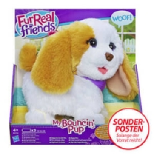 H&uuml;pfendes H&uuml;ndchen