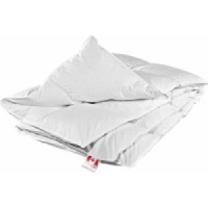 Canada Cassettendecke 45.00 €