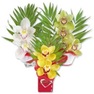 Orchideengestecke Valentin