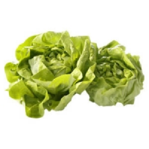 Italien/Belgien Kopfsalat