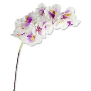 Kunstblume Orchidee