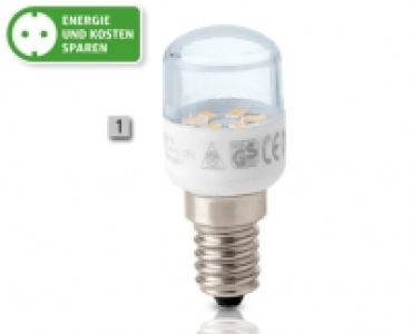 LED Spezial-Leuchtmittel