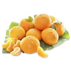 Spanien Clementinen Nadorcott