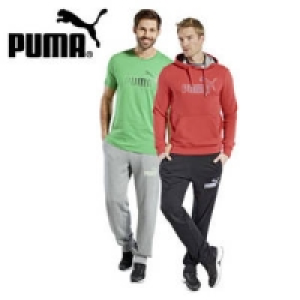 Jogginghose 29.95 €