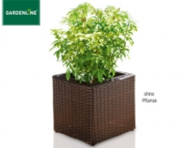 GARDENLINE&reg;Geflecht-Pflanzgef&auml;&szlig;
