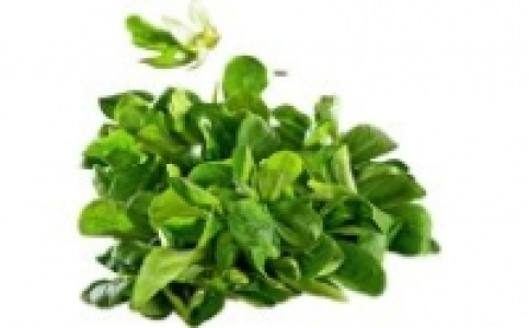 Feldsalat 0.66 €