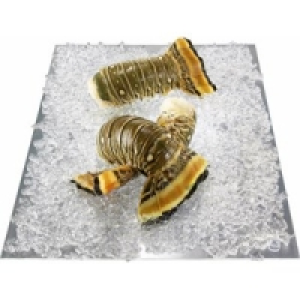 Langustenschw&auml;nze 59.99&nbsp;&euro;