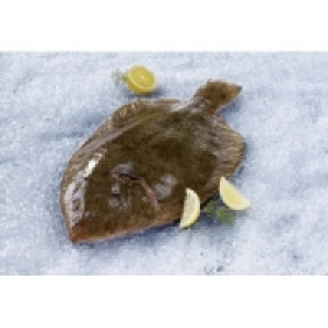 Glattbutt 13.99&nbsp;&euro;