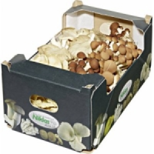 Frische Bunte Pilzmischung 8.99&nbsp;&euro;