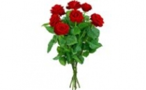Premium-Rosen 5.99 €