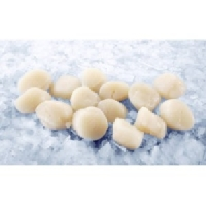 MSC Kammmuschelfleisch 22.99&nbsp;&euro;