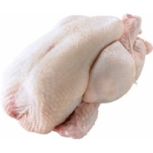 Fine Food Finestro Stubenk&uuml;ken 5.99&nbsp;&euro;