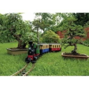 LGB Personenzug Starter Set