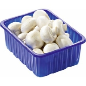 Champignons wei&szlig;