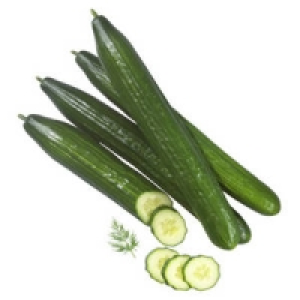 Deutschland/Niederlande Salatgurken 0.49 €