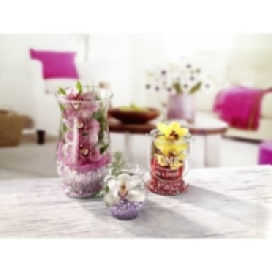 Cymbidien Gestecke 3.99&nbsp;&euro;