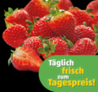 Erdbeeren