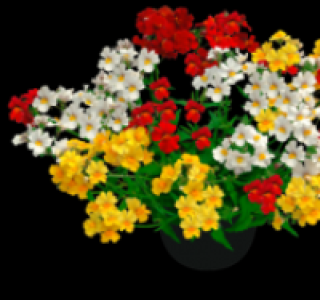 Elfenspiegel (Nemesia)