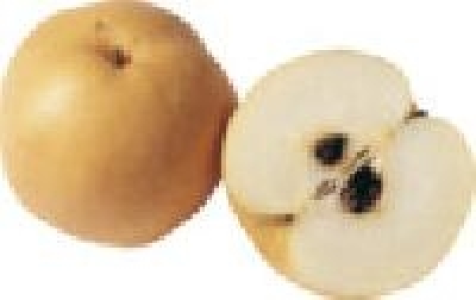 Nashi-Birnen 0.49&nbsp;&euro;