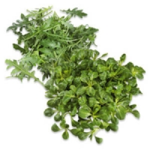Deutschland/Italien Feldsalat oder Deutschland/Frankreich Rucola Salat