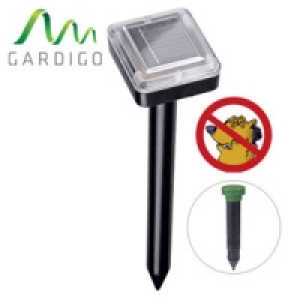 W&uuml;hlmaus-Schreck