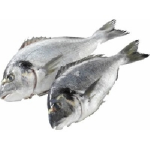 Dorade Royal