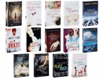 Taschenbuchroman 1.99 €