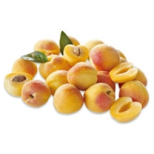 Spanien Aprikosen Spring blush