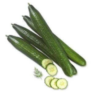 Deutschland/Niederlande Salatgurken 0.39 €