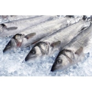 Wolfsbarsch 8.99 €