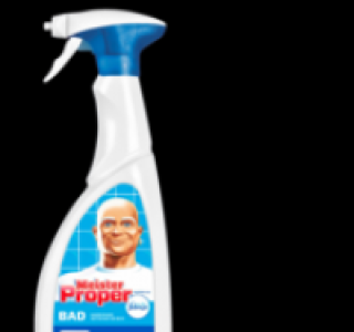 MEISTER PROPER Badspray